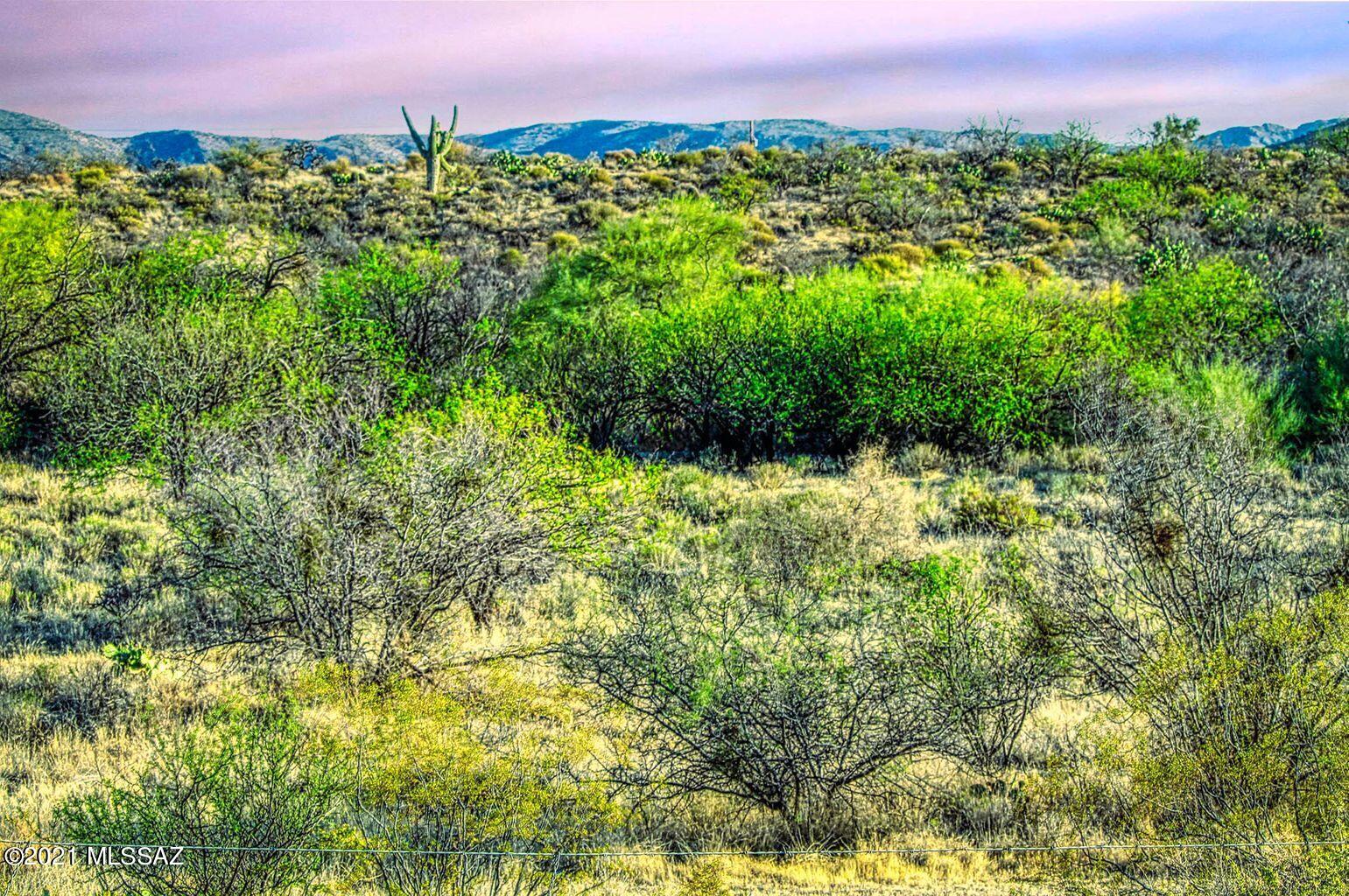 0 East Panther Butte Road Tucson, AZ 85739 - Photo 2 of 10