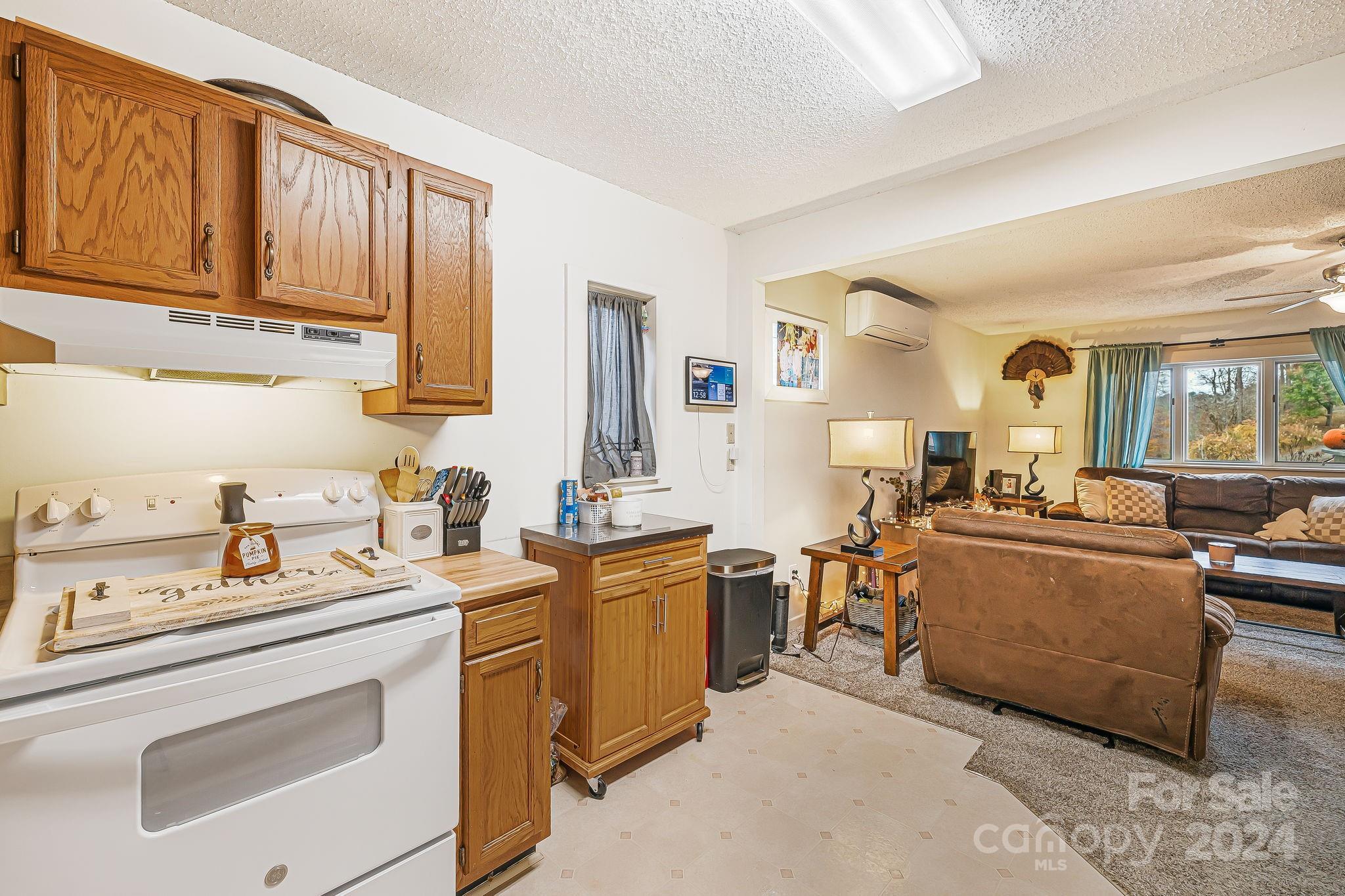 730 Silver Mill Road Marshall, NC 28753 - Photo 24 of 32