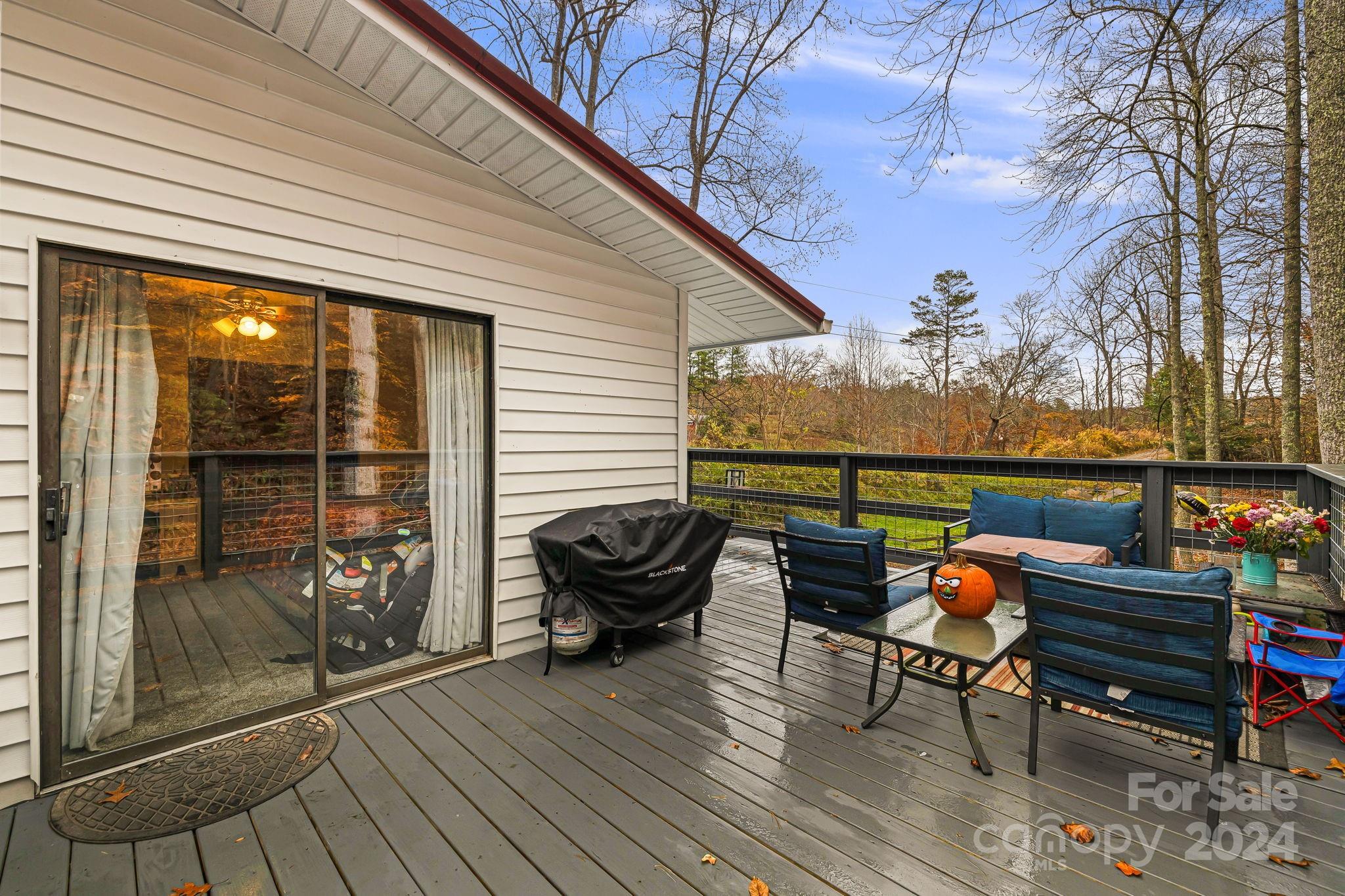 730 Silver Mill Road Marshall, NC 28753 - Photo 26 of 32