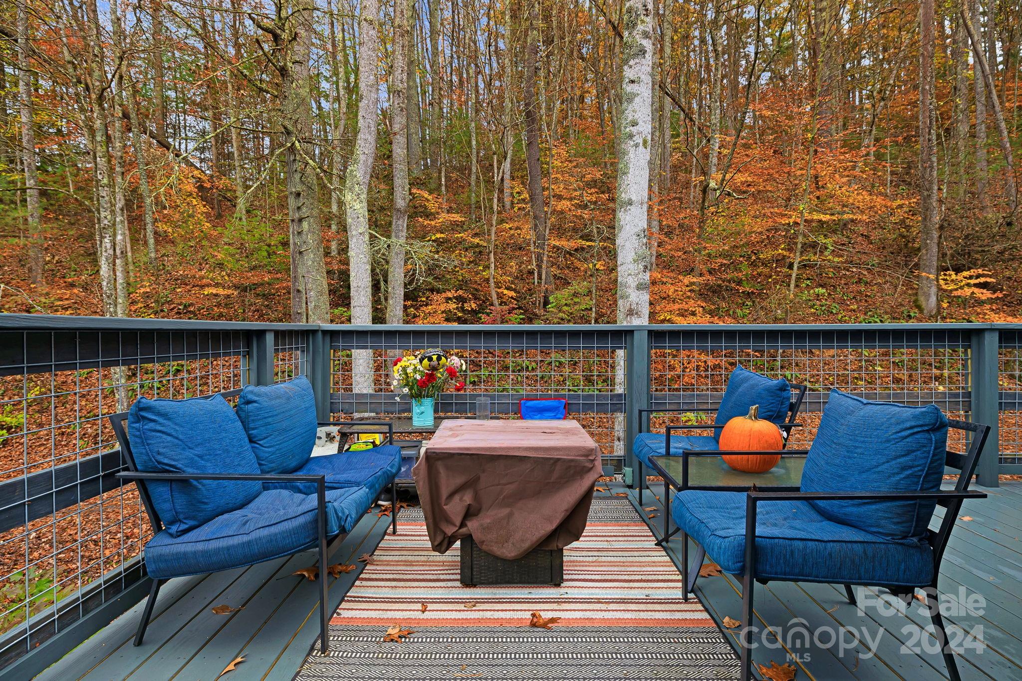 730 Silver Mill Road Marshall, NC 28753 - Photo 27 of 32