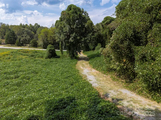 a view of a field with trees in the background