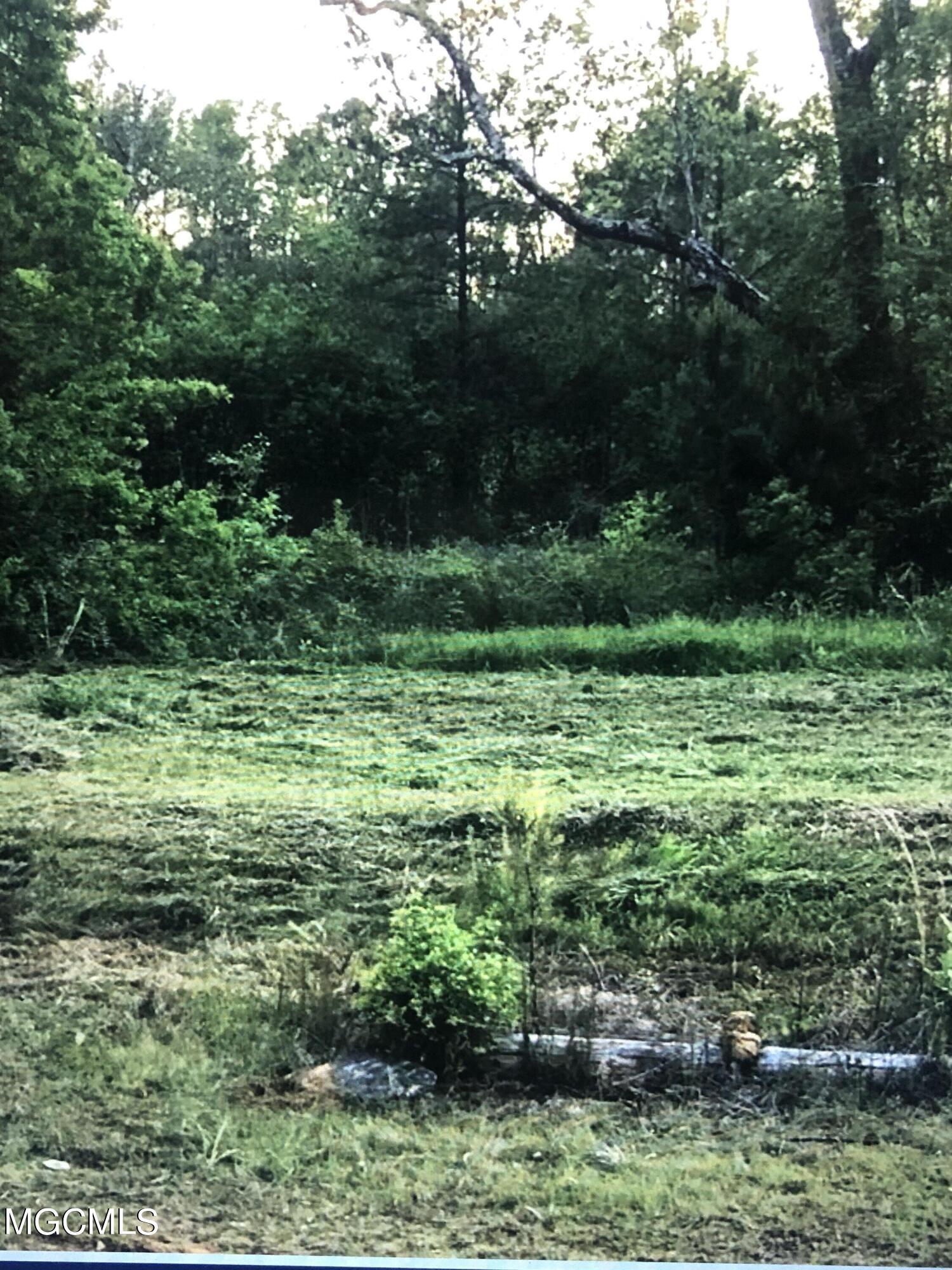 424 Rock Ranch Road Picayune, MS 39466 - Photo 6 of 6 IMG_4729