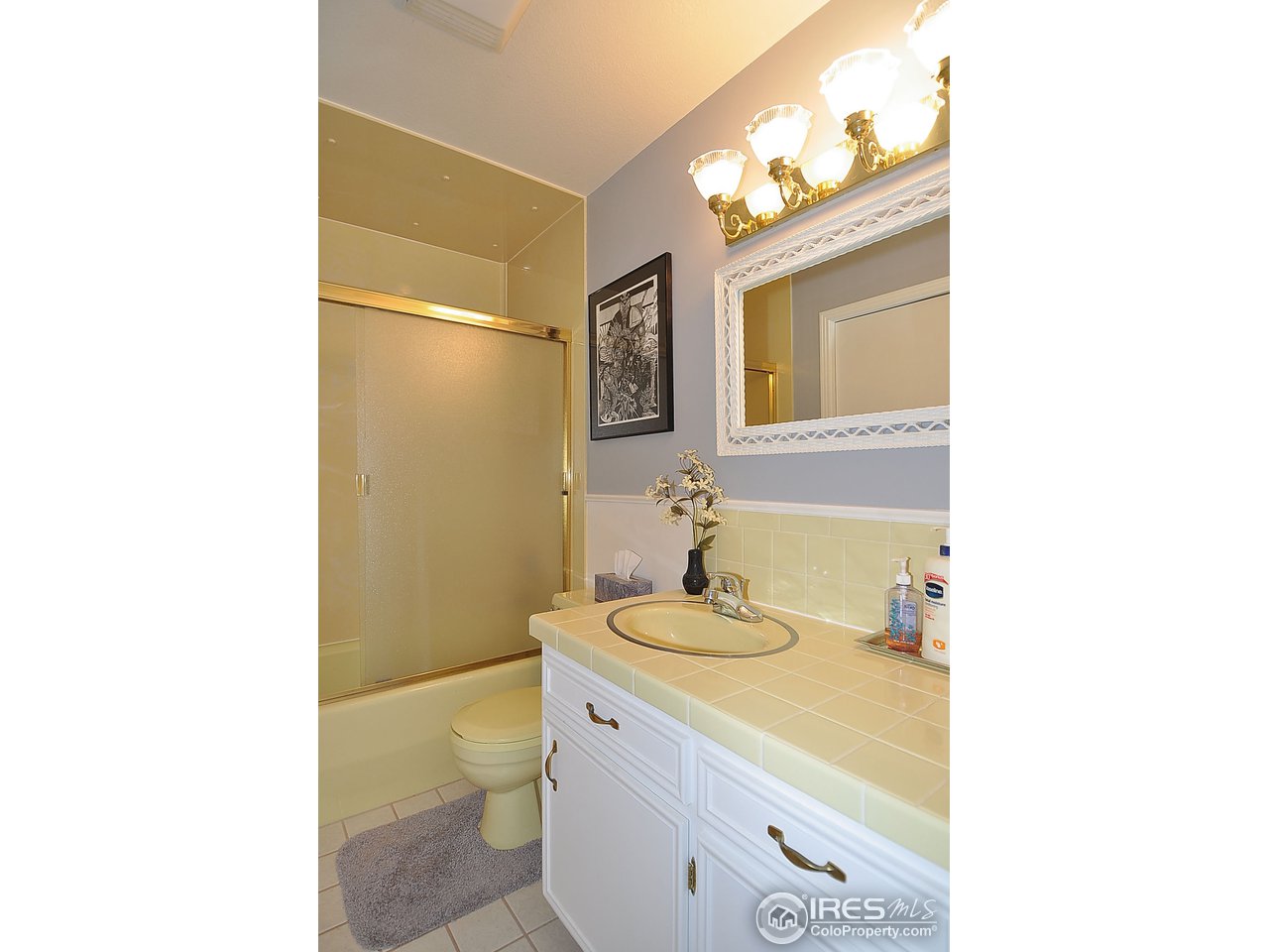 3409 Terry Ridge Road Fort Collins, CO 80524 - Photo 13 of 24 Main floor full bathroom