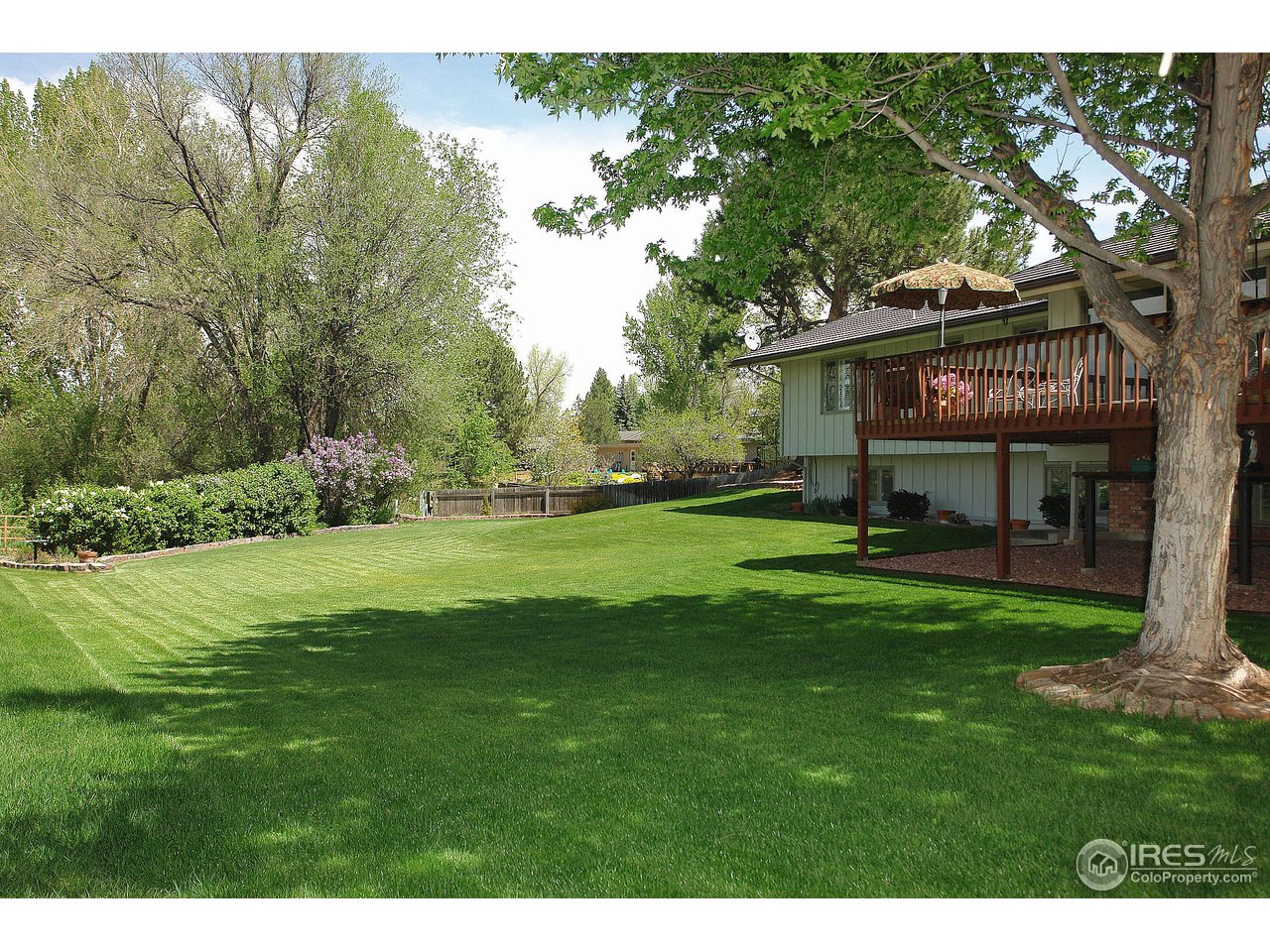 3409 Terry Ridge Road Fort Collins, CO 80524 - Photo 19 of 24 Rear yard