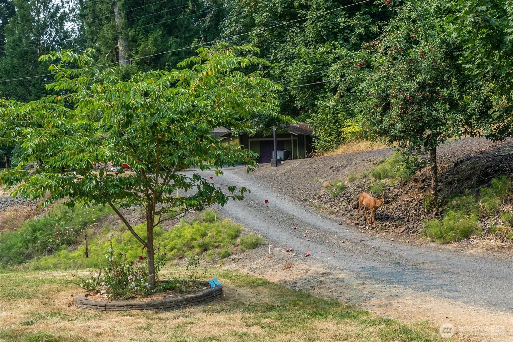 243 Ross Road Kelso, WA 98626 - Photo 27 of 40 Gallery Image 27