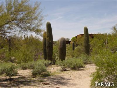 0 West Oasis Road Tucson, AZ 85742 - Photo 8 of 9