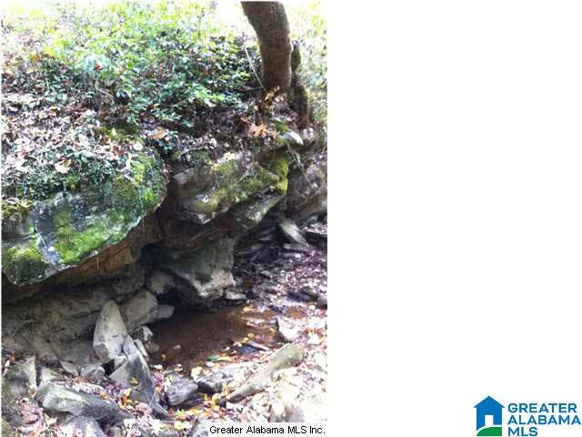 629 Owen Road Springville, AL 35146 - Photo 25 of 28