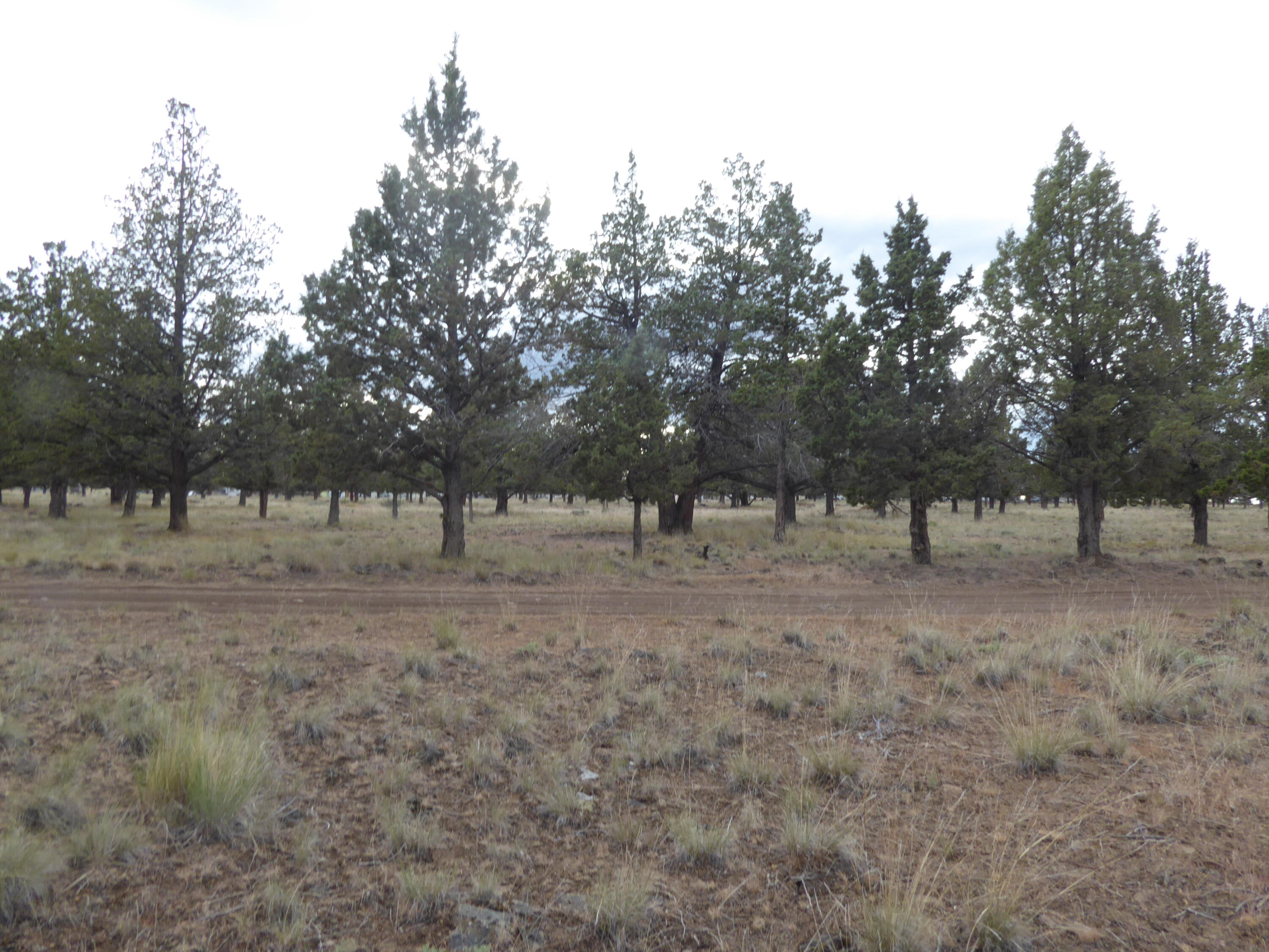 2 Southwest Jordan Road Culver, OR 97734 - Photo 1 of 4 Parcel 2 1