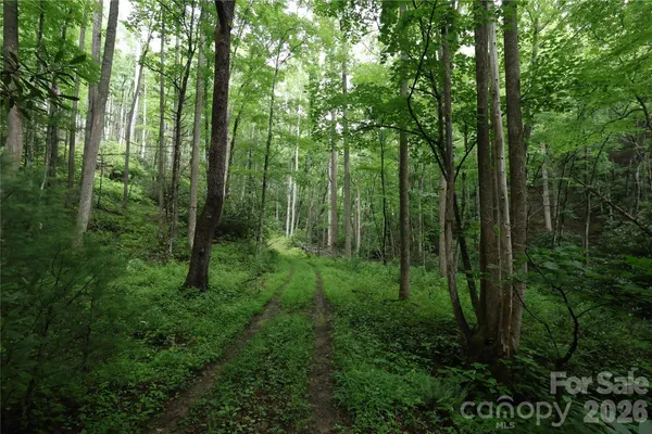 $90,000 | Tbd Blowing Rock Boulevard, Lenoir, NC 28645