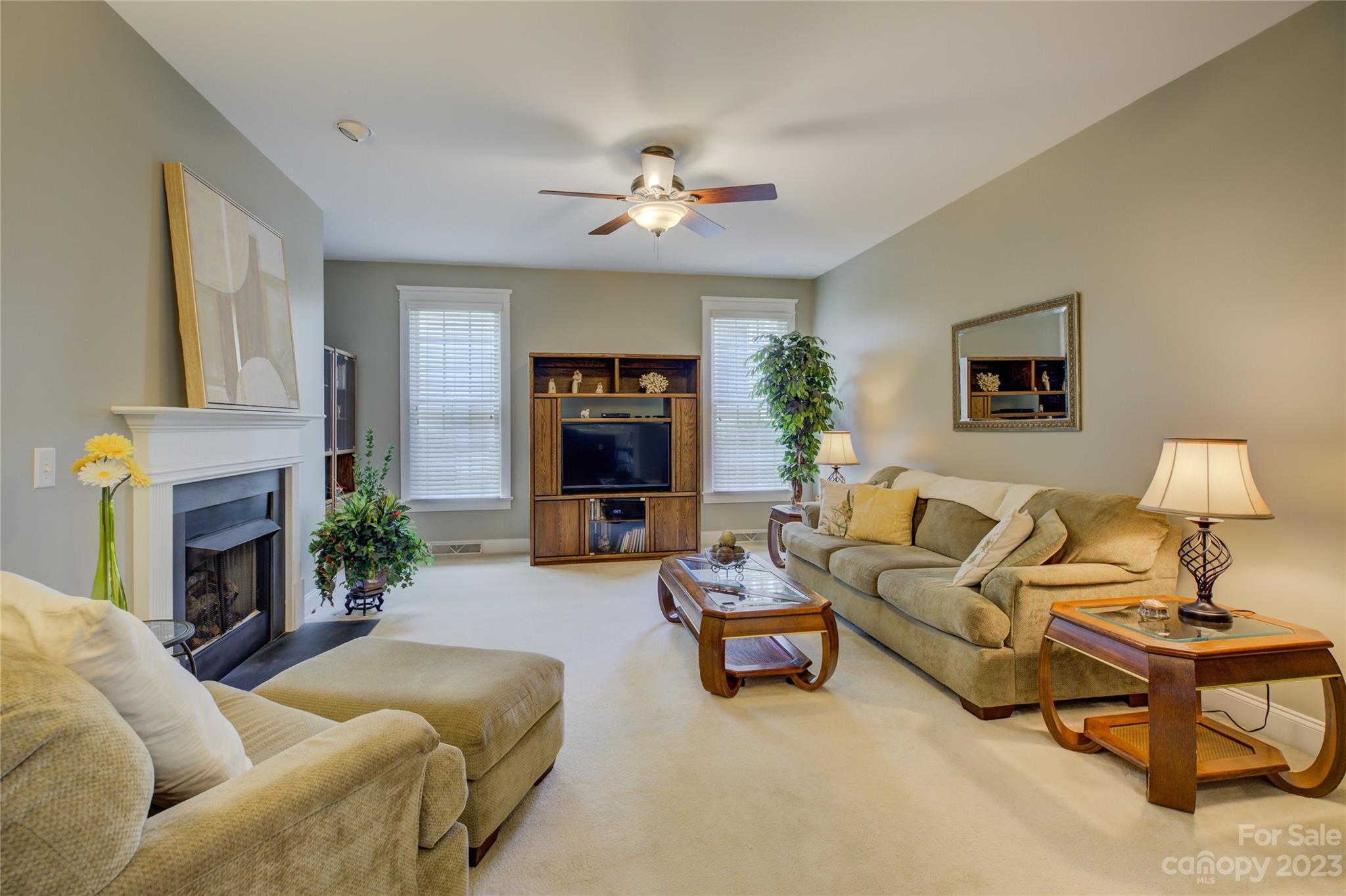 357 Elis Way Fort Mill, SC 29708 - Photo 19 of 48 a living room with furniture and a fireplace