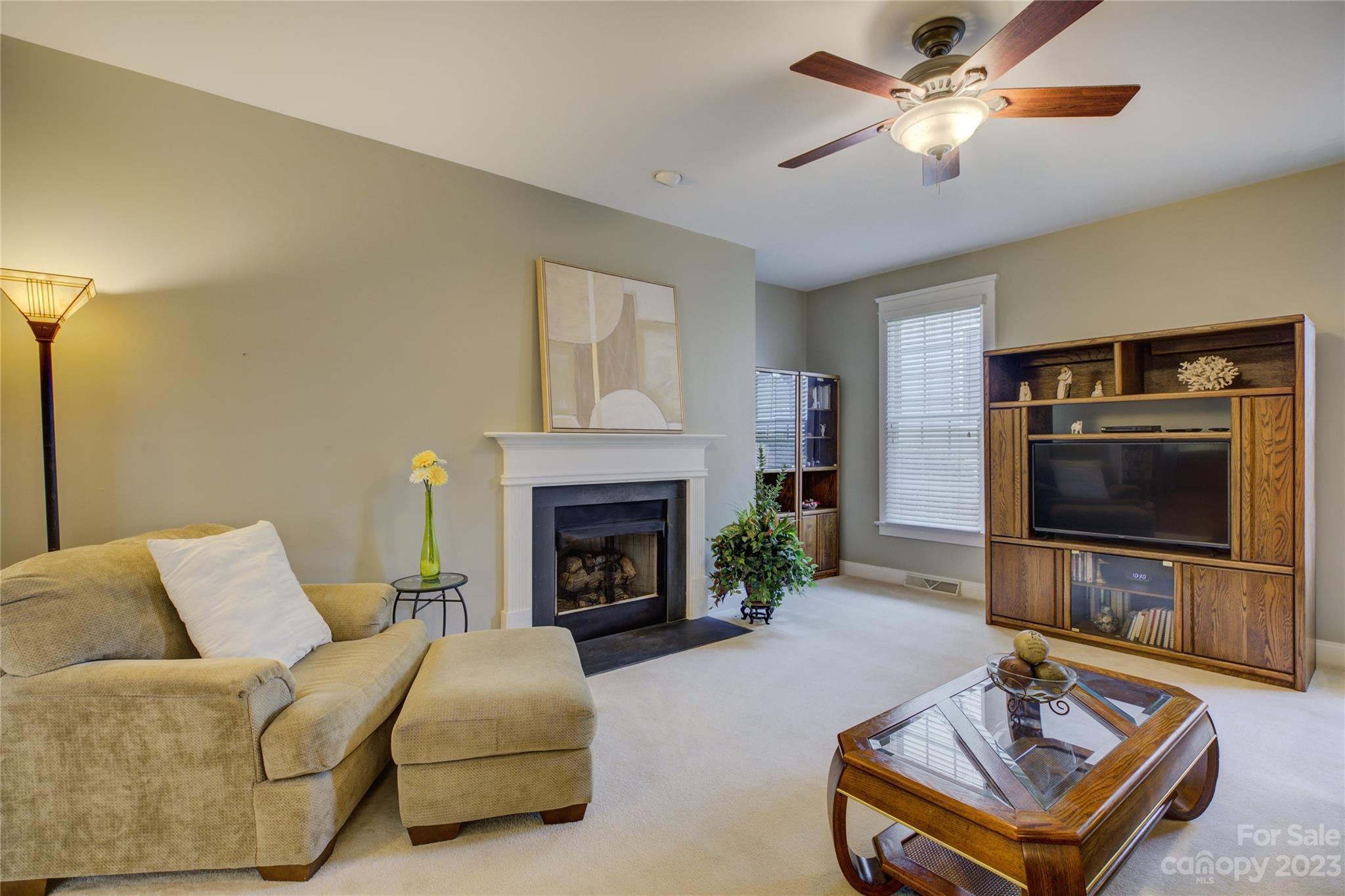357 Elis Way Fort Mill, SC 29708 - Photo 20 of 48 a living room with furniture and a flat screen tv