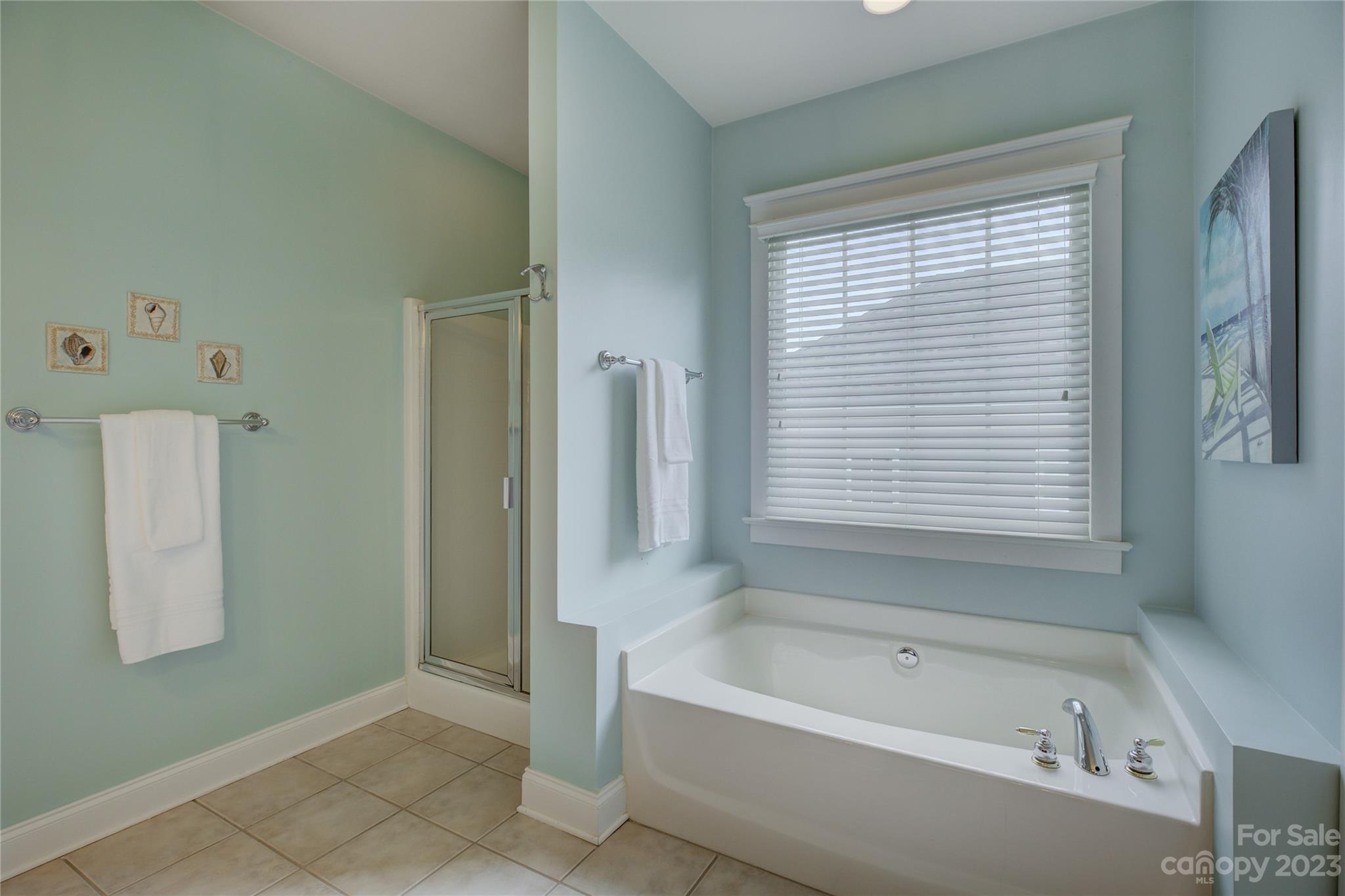 357 Elis Way Fort Mill, SC 29708 - Photo 34 of 48 a bathroom with a bathtub and a shower