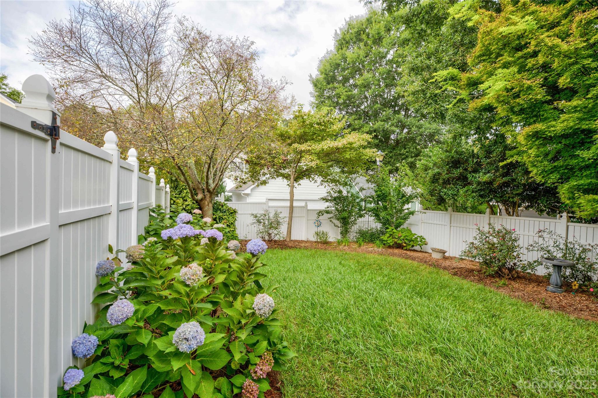 357 Elis Way Fort Mill, SC 29708 - Photo 41 of 48 a backyard of a house with lots of green space