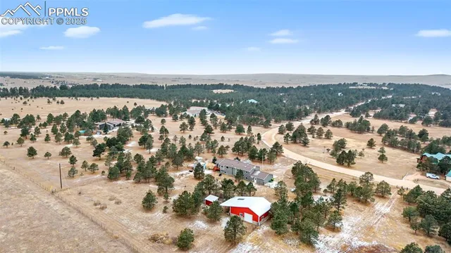 an aerial view of a house with swimming pool and large trees