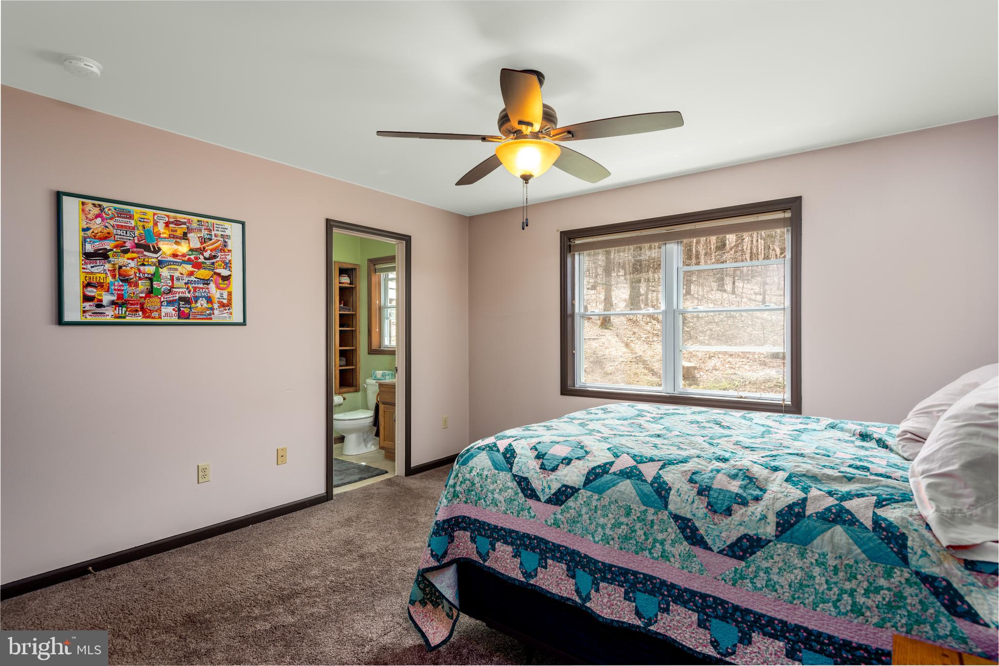 430 Board Run Road Newport, PA 17074 - Photo 19 of 29 Master Bedroom
