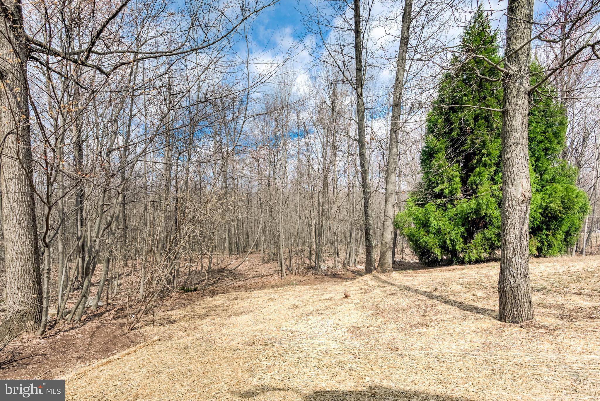 430 Board Run Road Newport, PA 17074 - Photo 28 of 29 Gallery Image 28
