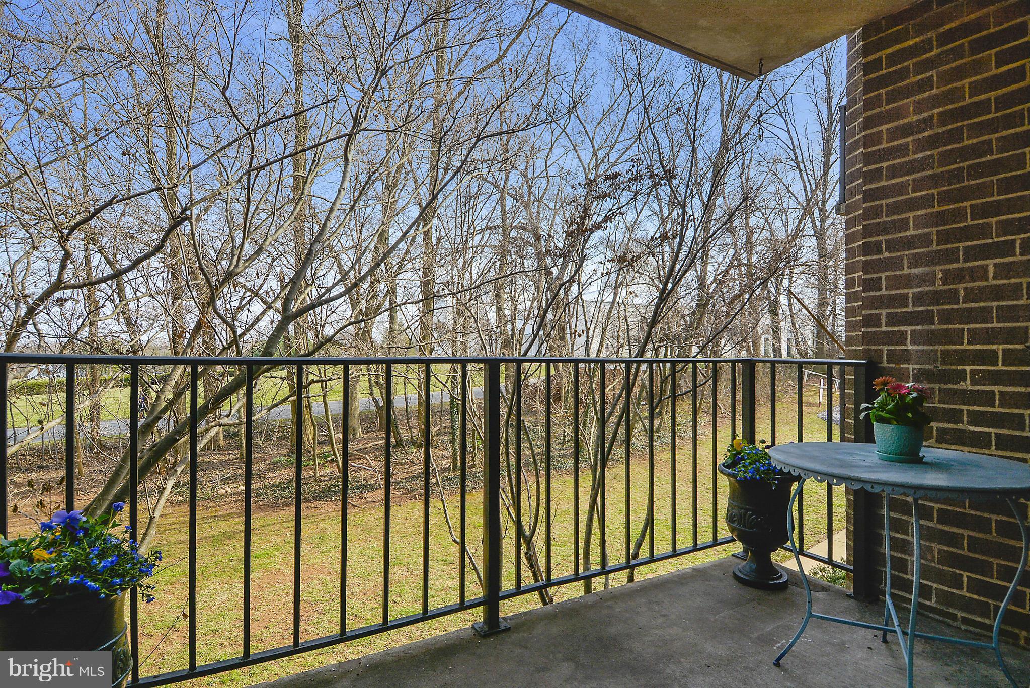 17811 Buehler Road, Unit 2D3 Olney, MD 20832 - Photo 16 of 22 Lovely grassy courtyard