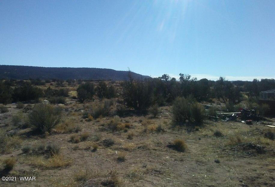 4596 El Dorado Road Snowflake, AZ 85937 - Photo 4 of 32 53240