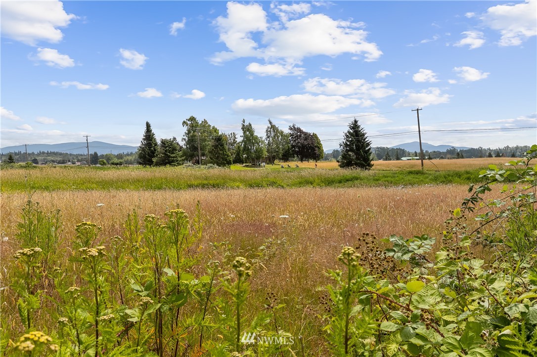 368 West Smith Road Bellingham, WA 98226 - Photo 16 of 24 a view of an ocean and a yard