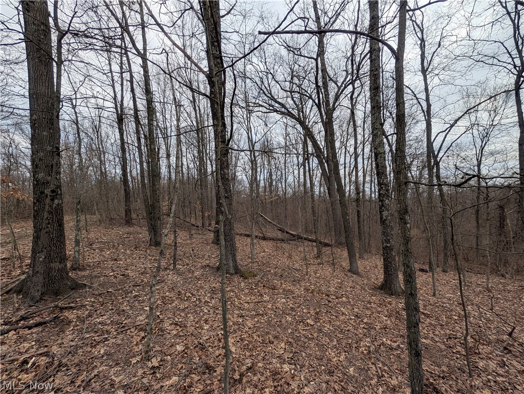 39000 Lees Run Road Cadiz, OH 43907 - Photo 20 of 49