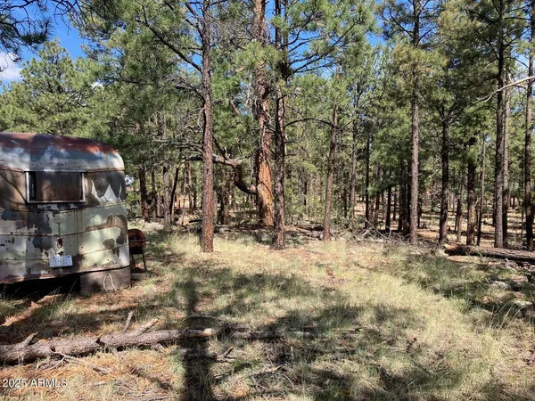 a view of outdoor space with trees