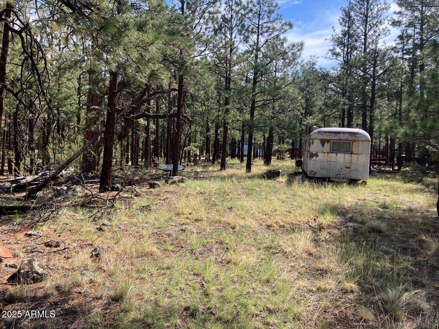 18 North County Road, Unit 103 Springerville, AZ 85938 - Photo 5 of 7 a fire hydrant sitting in the middle of a field