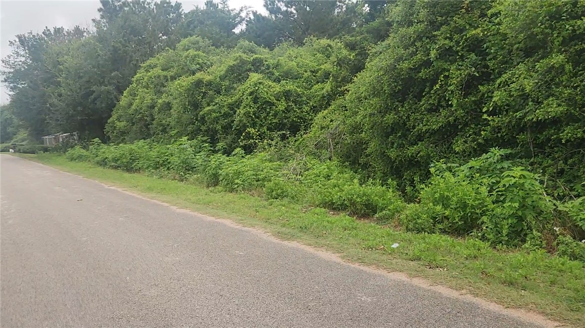 Lot 61 Greenfield Road Hempstead, TX 77445 - Photo 14 of 17 a view of a yard with a plants and trees
