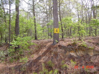 4 Bluffwood Road Wagener, SC 29164 - Photo 1 of 1