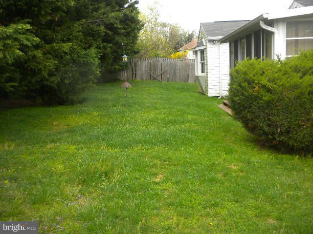 604 Cannon Road Silver Spring, MD 20904 - Photo 5 of 11 a backyard of a house with plants and large trees