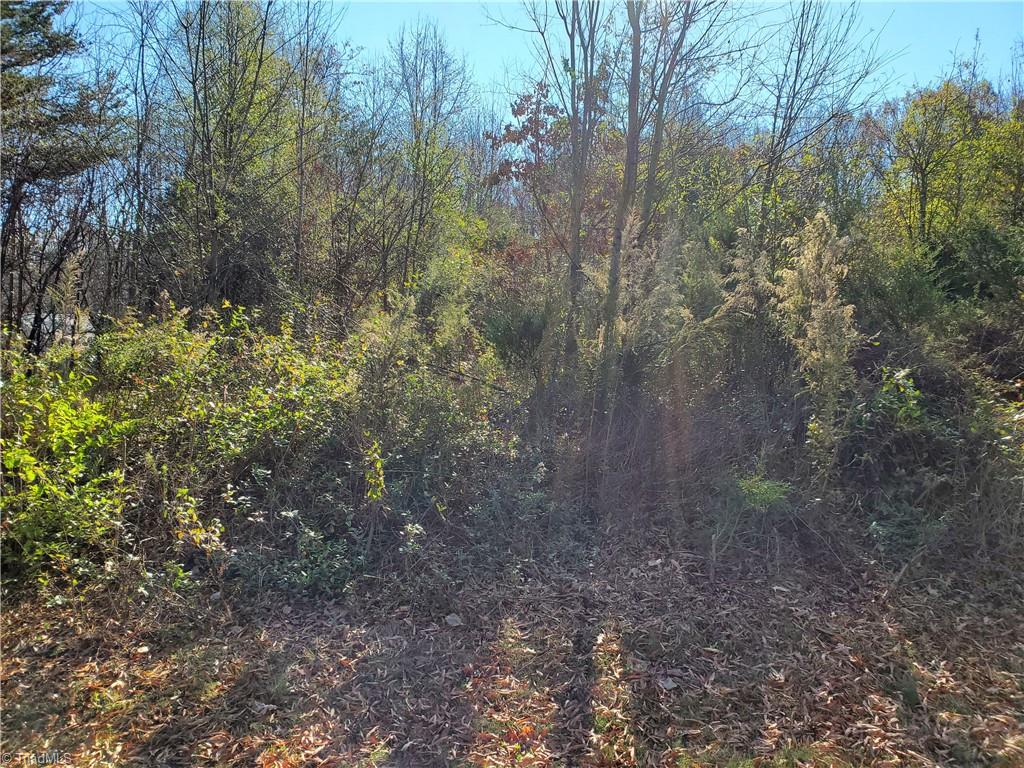 Lot Unit 8 Faylyn Dr  