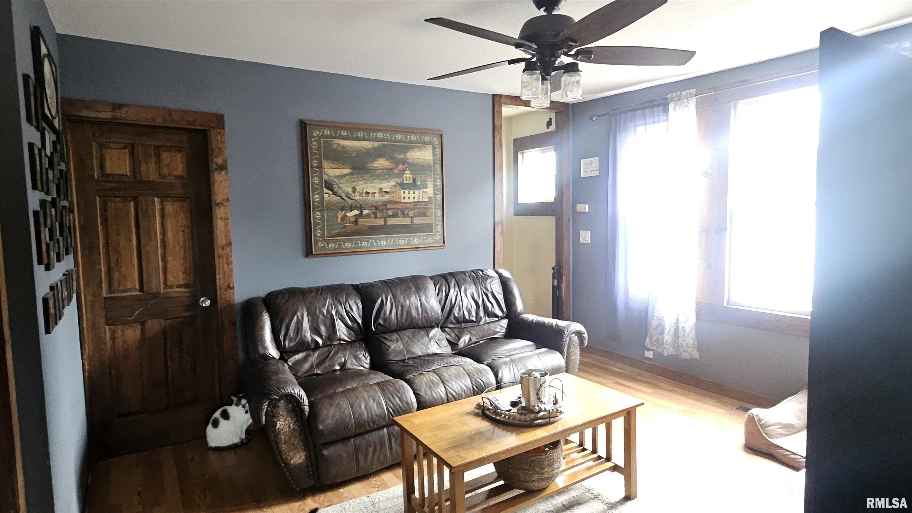 394 West Maple Street Canton, IL 61520 - Photo 5 of 32