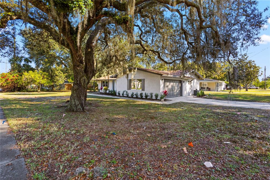 1201 Bear Lake Road Apopka, FL 32703 - Photo 25 of 27