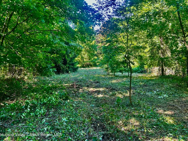 a view of yard with green field