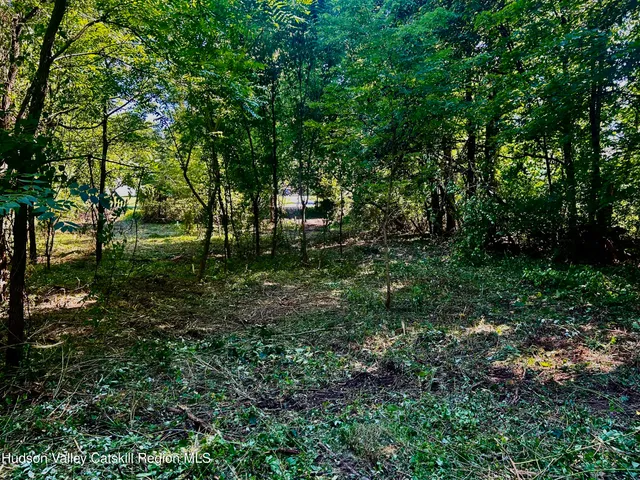 a big yard with lots of green space and deers