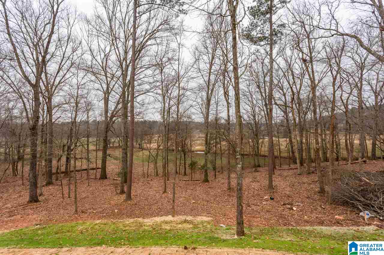 5120 Baxter Road Springville, AL 35146 - Photo 41 of 45