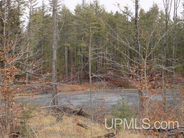 N4105 Powell Lake Road Wetmore, MI 49895 - Photo 2 of 18