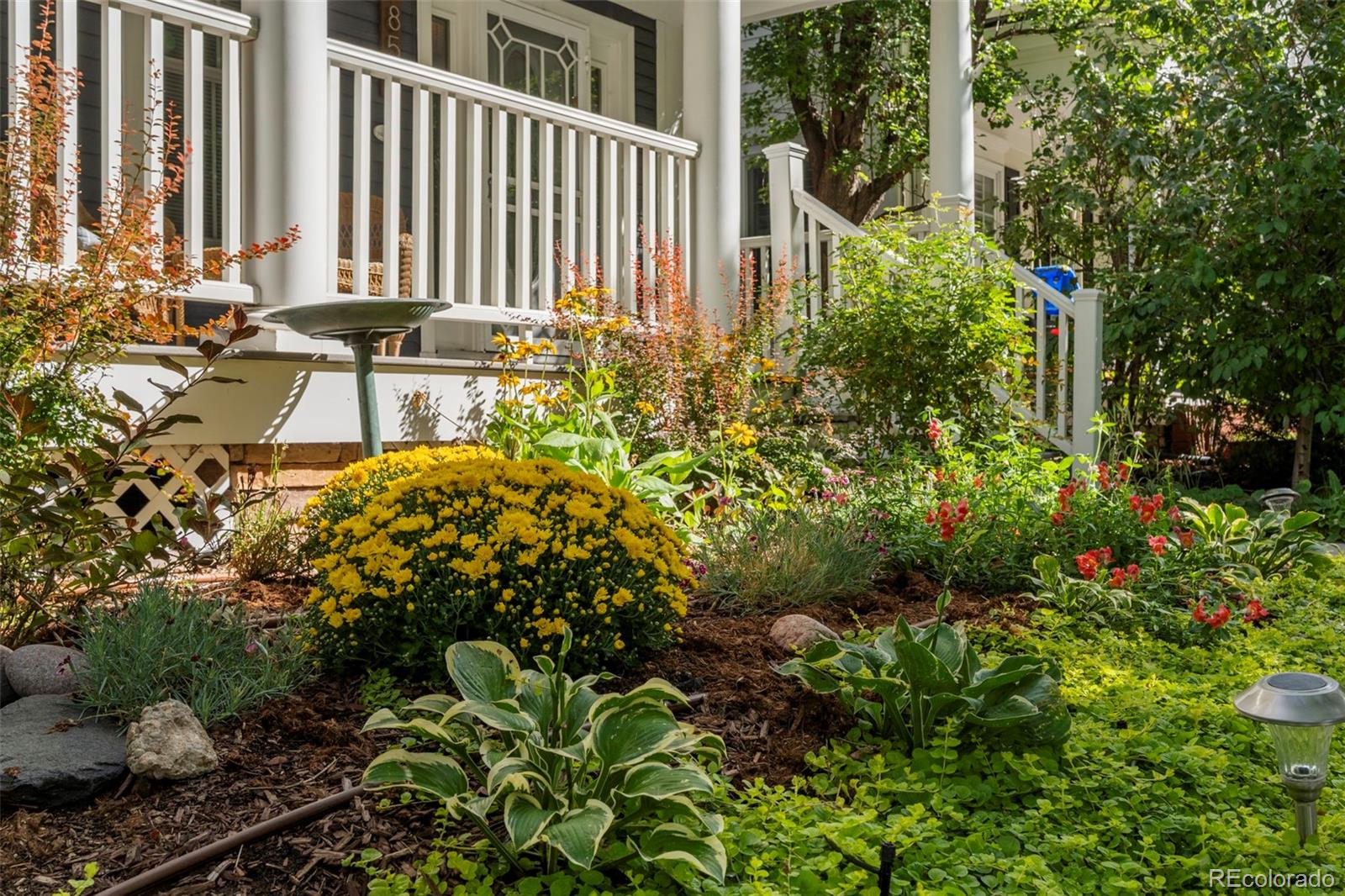 7859 East 28th Place Denver, CO 80238 - Photo 5 of 46