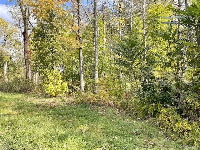 $75,000 | 534 Violet Avenue, Hyde Park, NY 12538