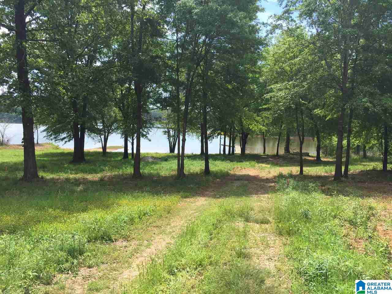 Ranch Marina Road Pell City, AL 35128 - Photo 4 of 8