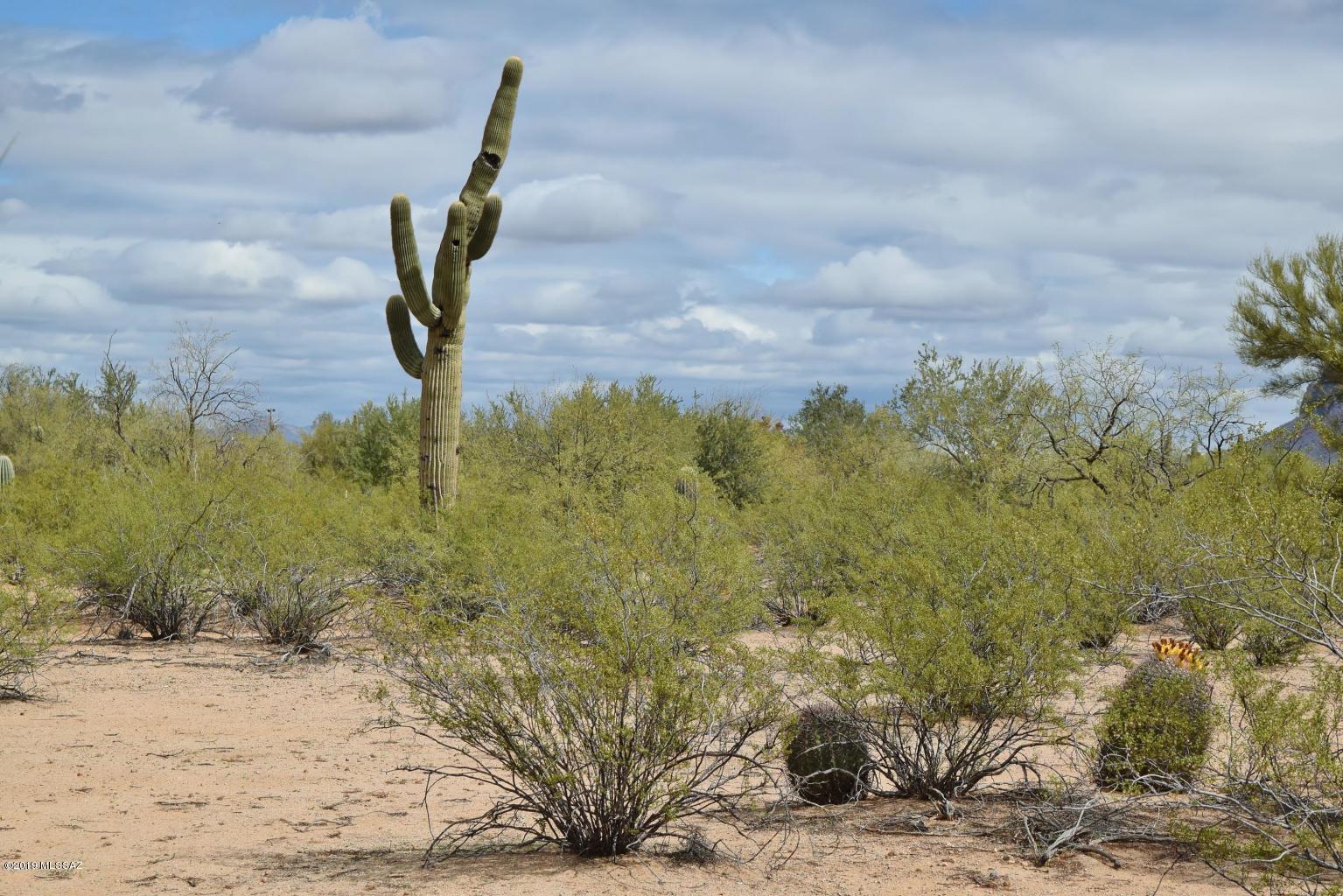 12162 West Rudasill Road Tucson, AZ 85743 - Photo 11 of 18 Gallery Image 11