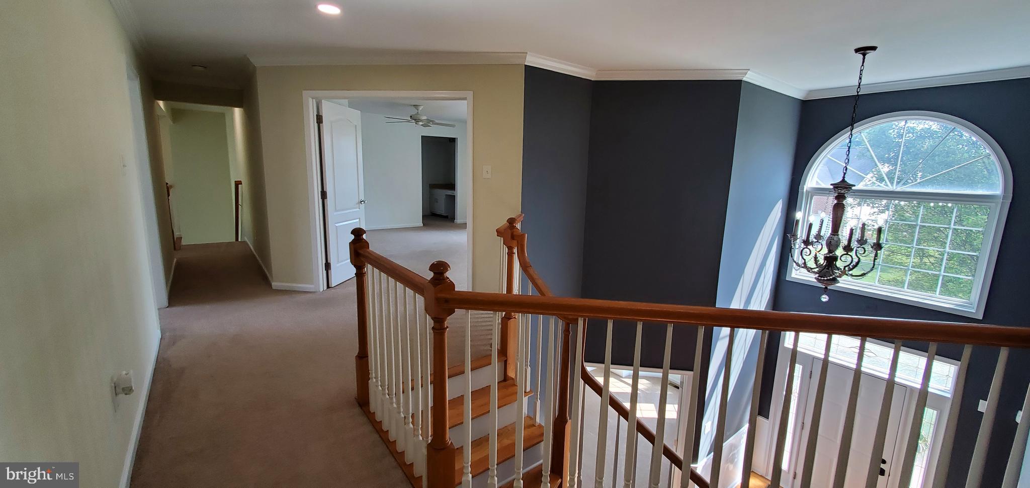 31 Augusta Drive Westampton, NJ 08060 - Photo 19 of 40