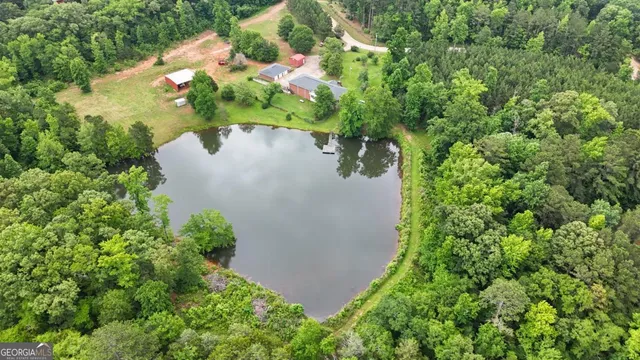 a view of a tree with a yard