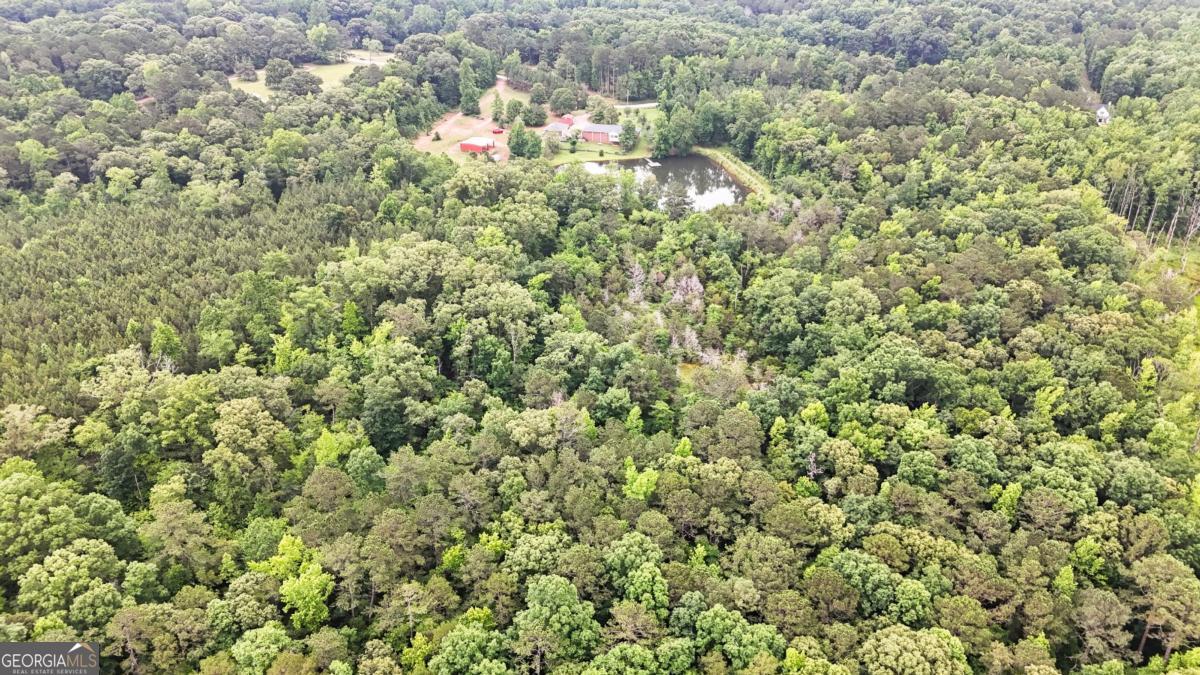 394 Hunter Road Griffin, GA 30224 - Photo 7 of 38 a view of a house with a lush green forest