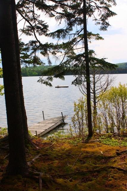 202 Quimby Pond Road Rangeley, ME 04970 - Photo 9 of 39 View