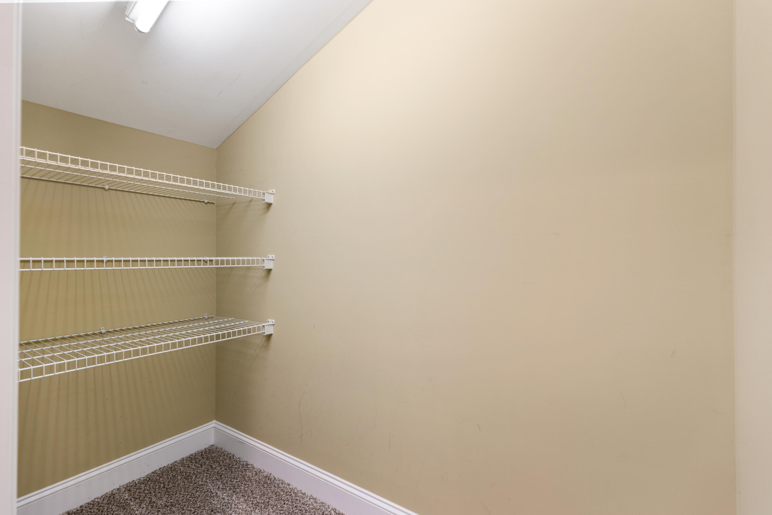 2312 Rivendell Lane Chattanooga, TN 37421 - Photo 37 of 44 2 OF 2 LARGE HALL CLOSETS