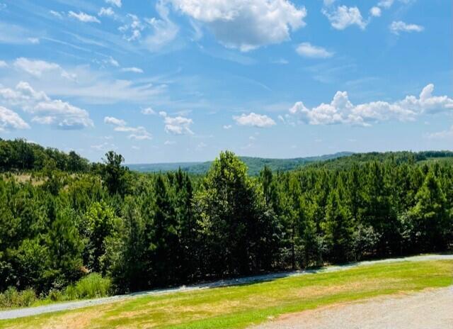 4455 Chestnut Knob Road Ridgeway, VA 24148 - Photo 47 of 72 47