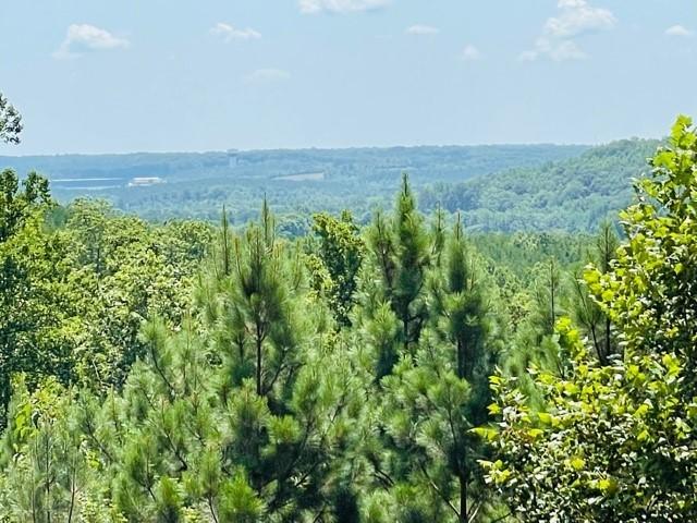 4455 Chestnut Knob Road Ridgeway, VA 24148 - Photo 48 of 72 48