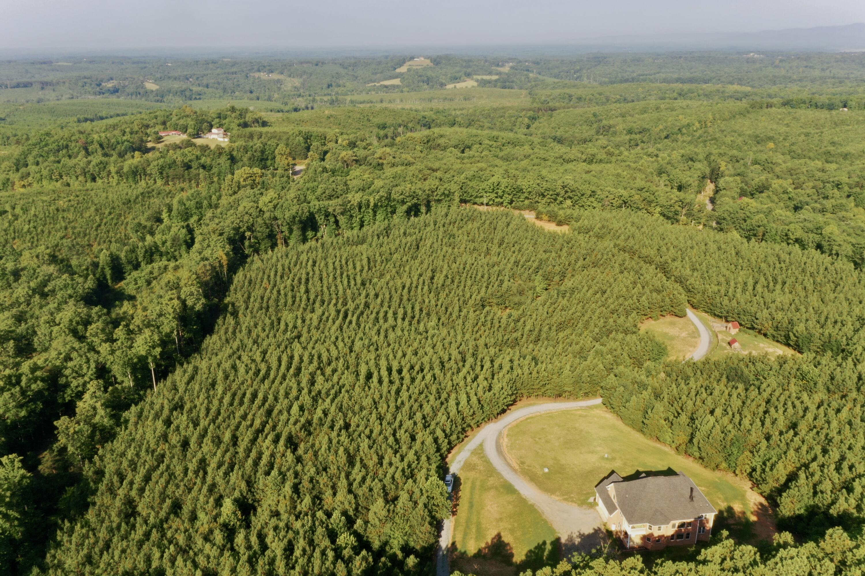 4455 Chestnut Knob Road Ridgeway, VA 24148 - Photo 61 of 72 63