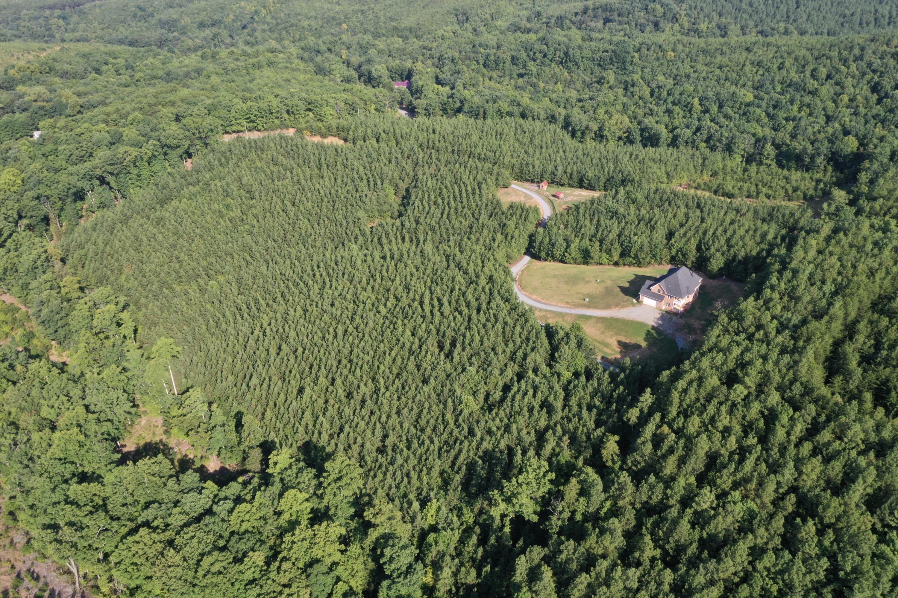 4455 Chestnut Knob Road Ridgeway, VA 24148 - Photo 66 of 72 68