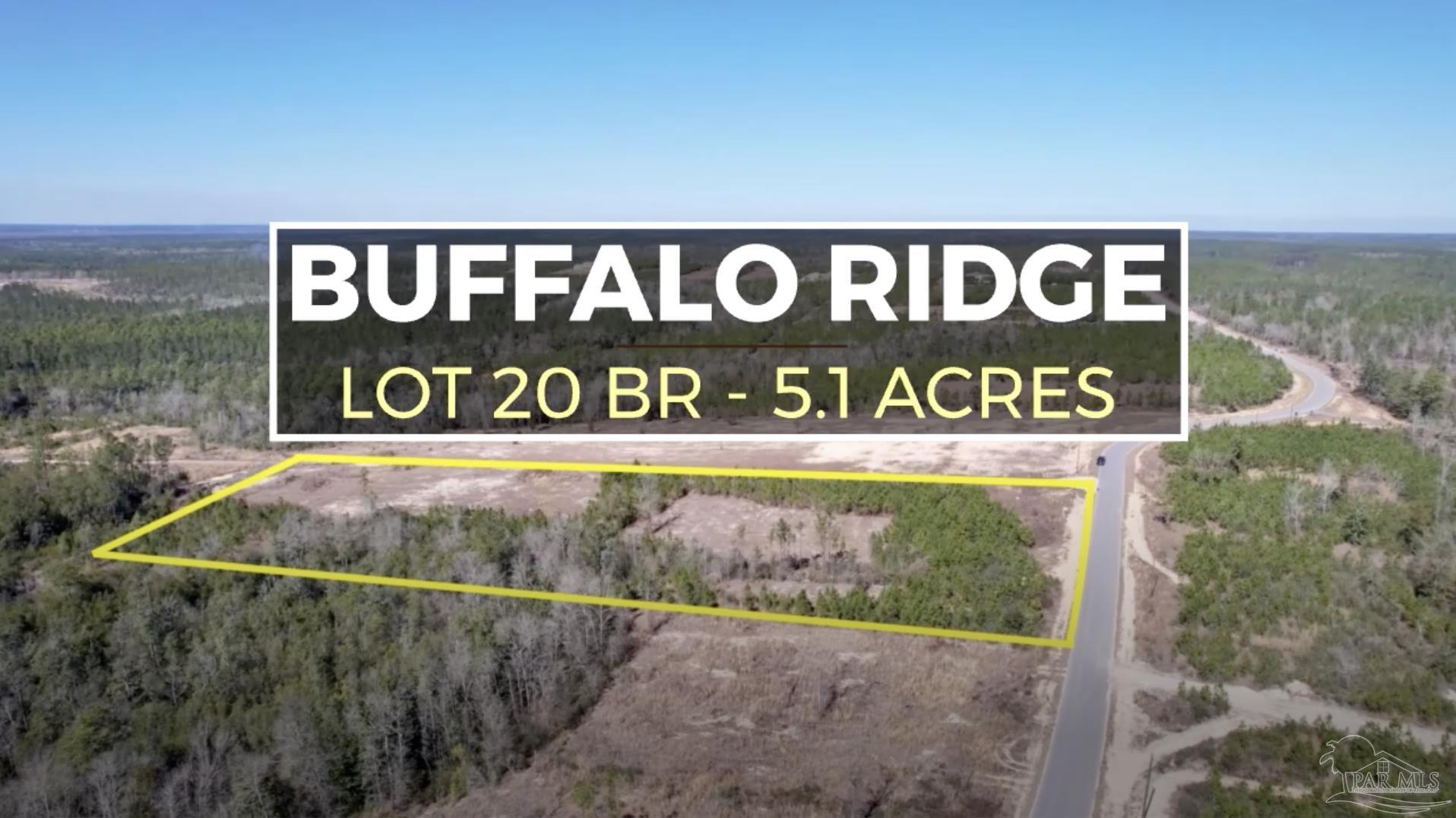 Lot 20-br Buffalo Ridge Road Milton, FL 32571 - Photo 1 of 10